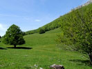 Vercors